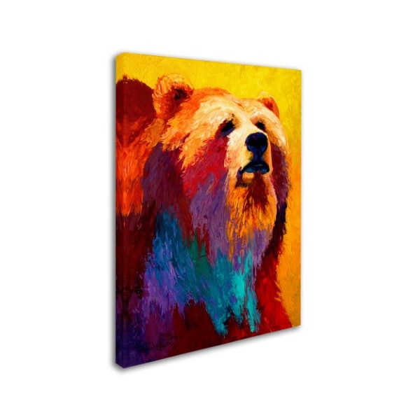 Marion Rose 'Ab Grizz III' Canvas Art,14x19